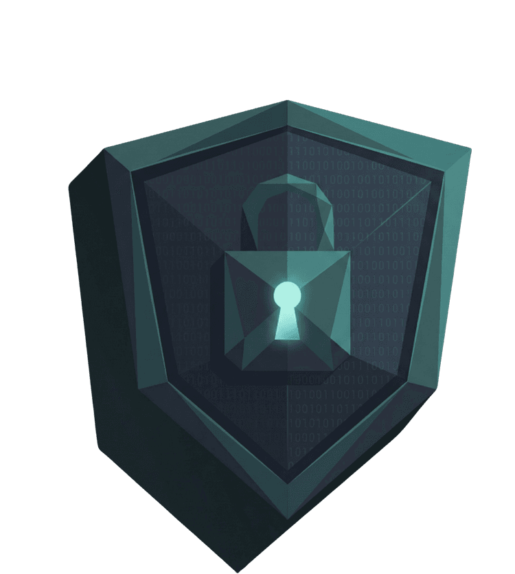 3D geometric privacy shield